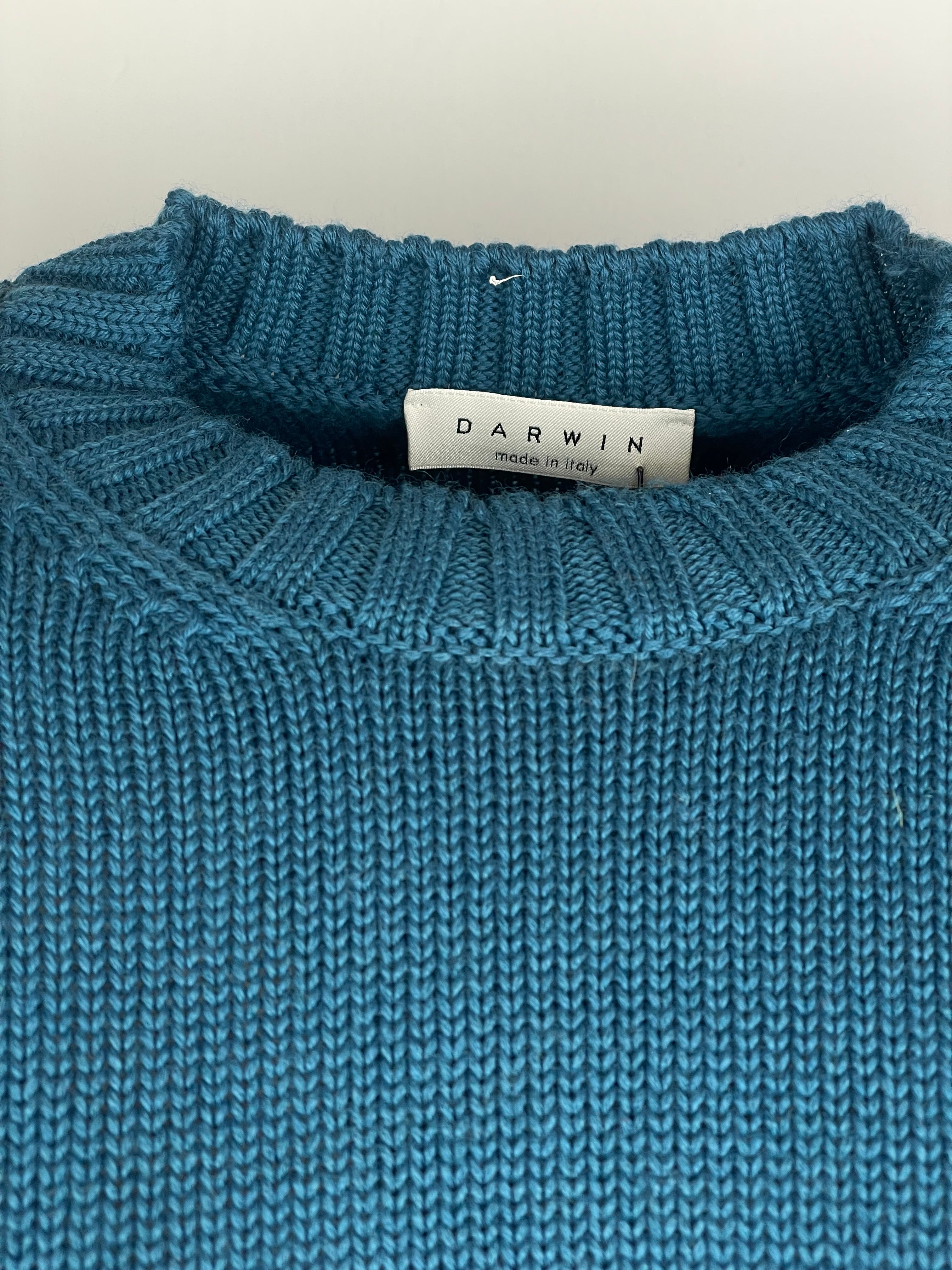 Maglione Darwin Ottanio 913700A