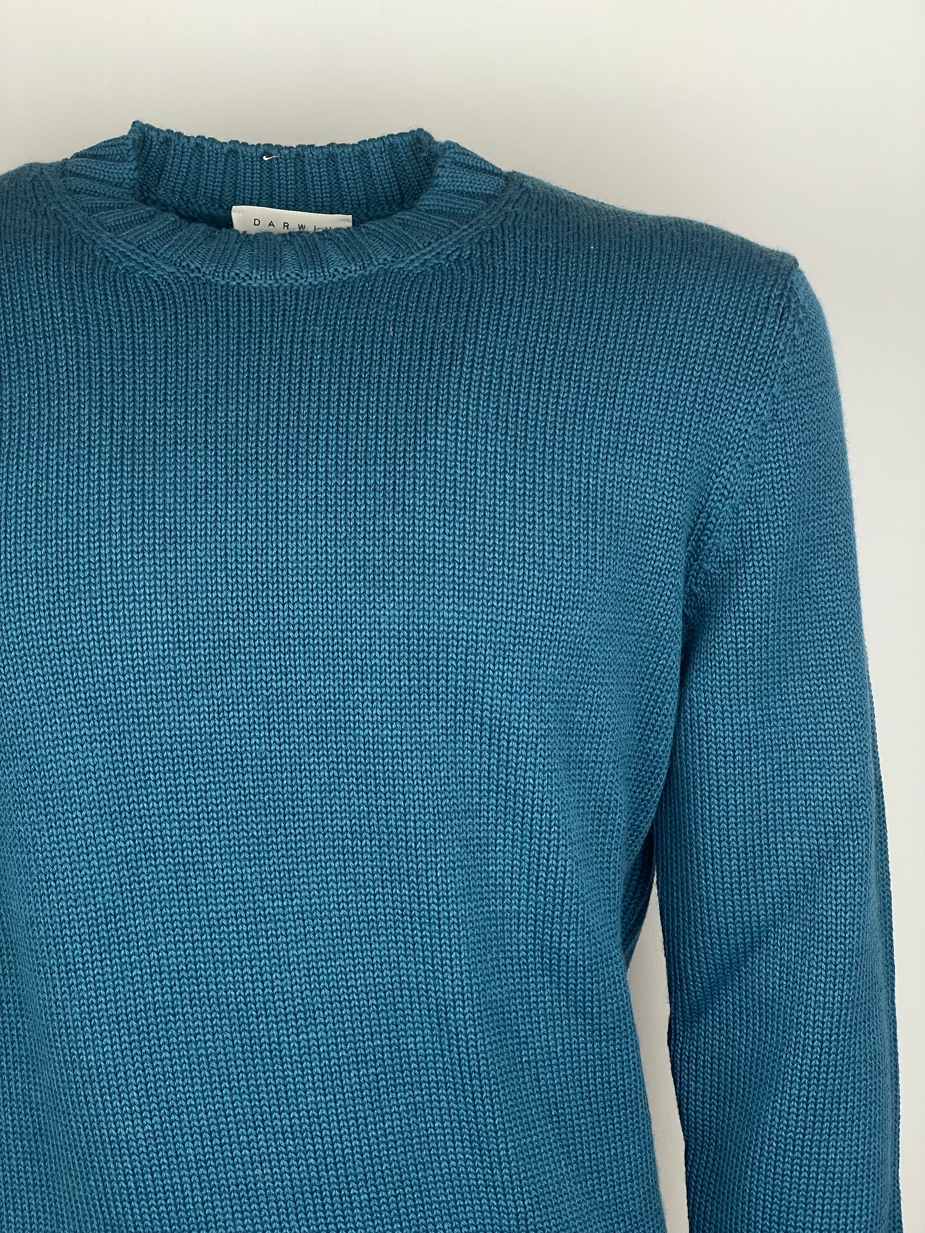 Maglione Darwin Ottanio 913700A