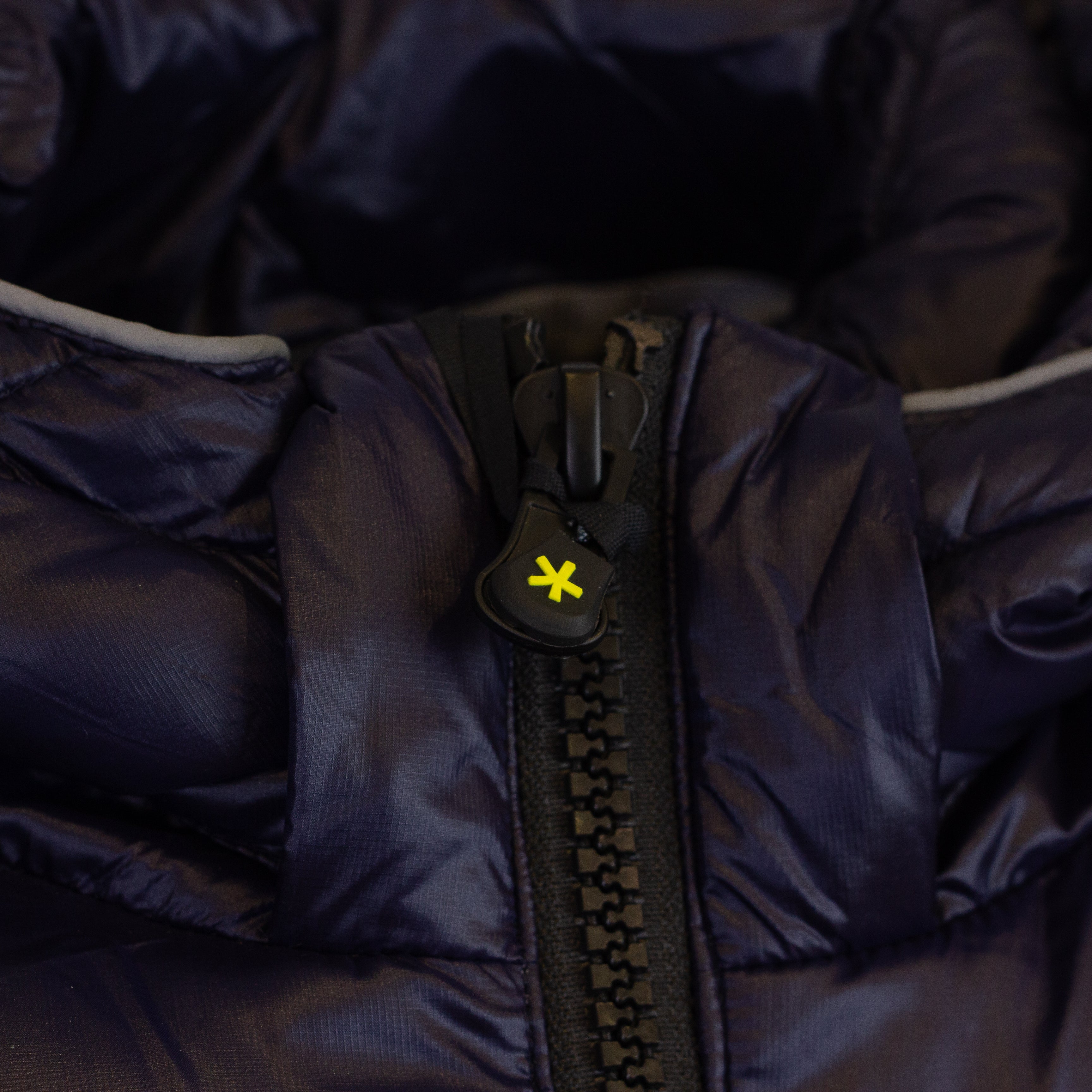 Giubbino F**K Trapuntato