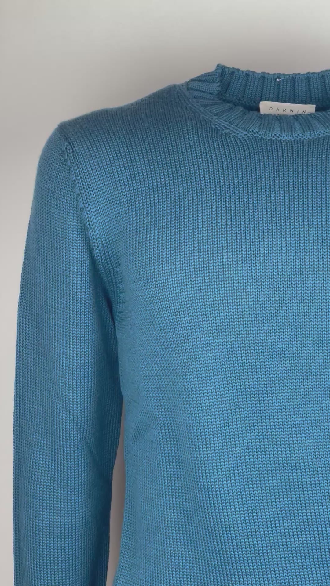 Maglione Darwin Ottanio 913700A